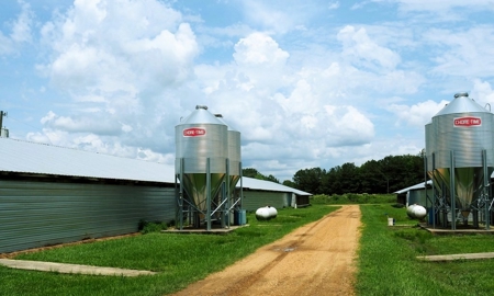 4 House Broiler Poultry Farm For Sale Southwest MS - image 6