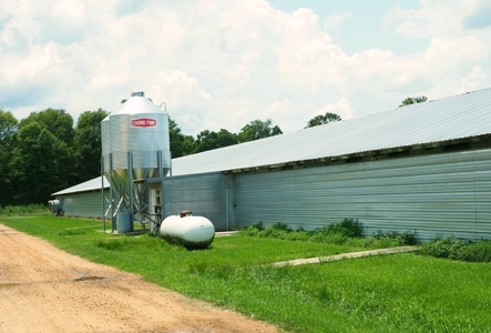 4 House Broiler Poultry Farm For Sale Southwest MS - image 7
