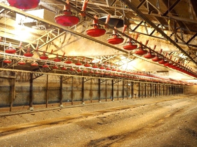 4 House Broiler Poultry Farm For Sale Southwest MS - image 14