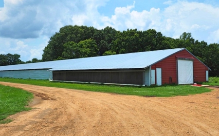 4 House Broiler Poultry Farm For Sale Southwest MS - image 30