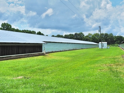 4 House Broiler Poultry Farm For Sale Southwest MS - image 4