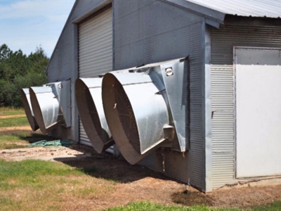 4 House Broiler Poultry Farm For Sale Southwest MS - image 10