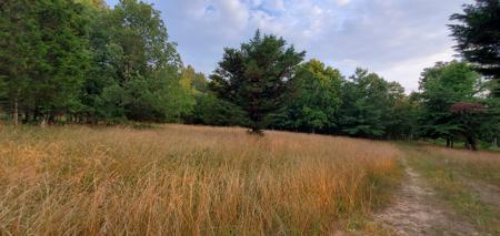 Secluded rustic hunting cabin with acreage - image 10