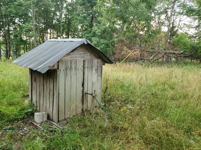 Secluded rustic hunting cabin with acreage - image 12