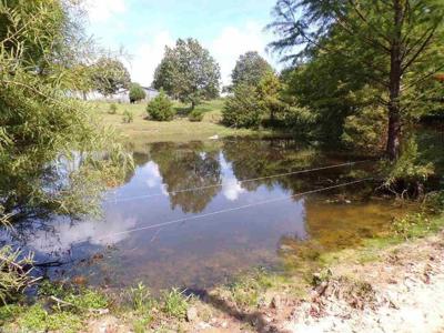 Secluded rustic hunting cabin with acreage - image 2