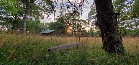 Secluded rustic hunting cabin with acreage - image 7