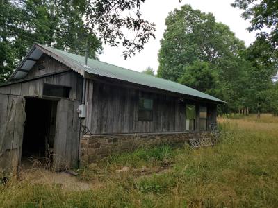 Secluded rustic hunting cabin with acreage - image 13