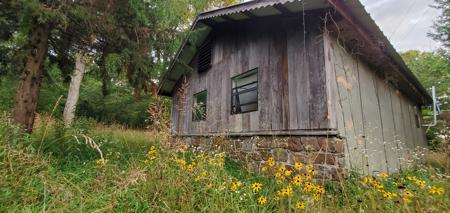 Secluded rustic hunting cabin with acreage - image 8