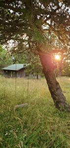 Secluded rustic hunting cabin with acreage - image 6