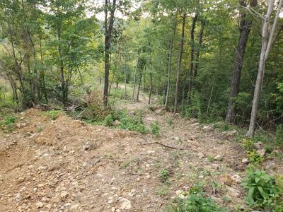 Secluded rustic hunting cabin with acreage - image 16