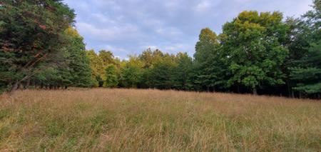 Secluded rustic hunting cabin with acreage - image 4