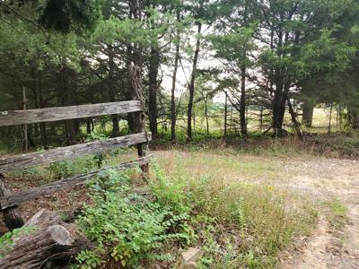 Secluded rustic hunting cabin with acreage - image 11