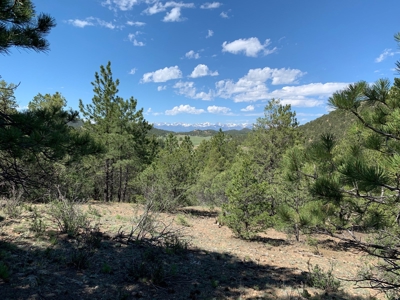 Beautiful 35.52 Acre Lot for Sale in Griffin Ranch - image 10