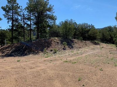 Beautiful 35.52 Acre Lot for Sale in Griffin Ranch - image 6