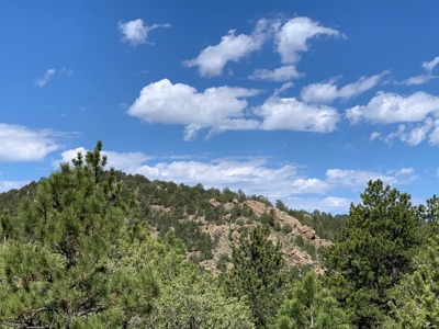 Beautiful 35.52 Acre Lot for Sale in Griffin Ranch - image 11