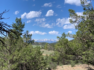 Beautiful 35.52 Acre Lot for Sale in Griffin Ranch - image 9