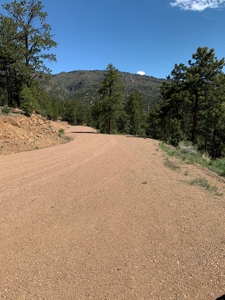 Beautiful 35.52 Acre Lot for Sale in Griffin Ranch - image 17