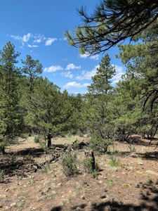 Beautiful 35.52 Acre Lot for Sale in Griffin Ranch - image 14