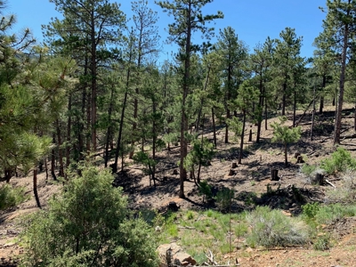 Beautiful 35.52 Acre Lot for Sale in Griffin Ranch - image 3