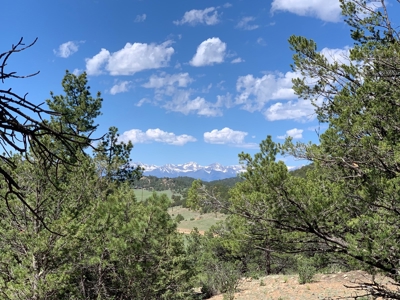 Beautiful 35.52 Acre Lot for Sale in Griffin Ranch - image 8