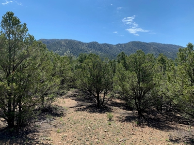 Beautiful 35.52 Acre Lot for Sale in Griffin Ranch - image 15