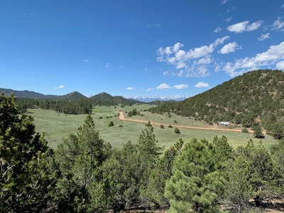 Beautiful 35.52 Acre Lot for Sale in Griffin Ranch - image 2