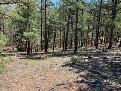Beautiful 35.52 Acre Lot for Sale in Griffin Ranch - image 16