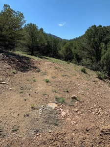 Beautiful 35.52 Acre Lot for Sale in Griffin Ranch - image 7