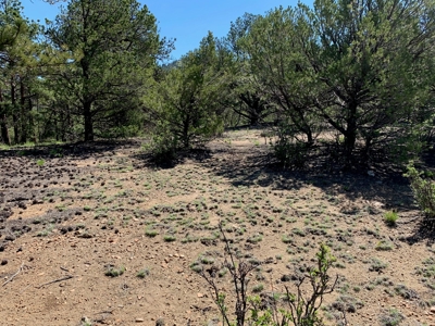 Beautiful 35.52 Acre Lot for Sale in Griffin Ranch - image 12