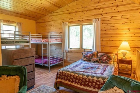 Rare Opportunity for Remote Cabin! - image 10