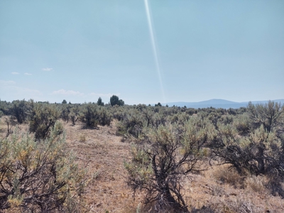 Buildable +/- 1 Acre Lot with Power Nearby - image 9