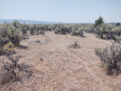 Buildable +/- 1 Acre Lot with Power Nearby - image 7