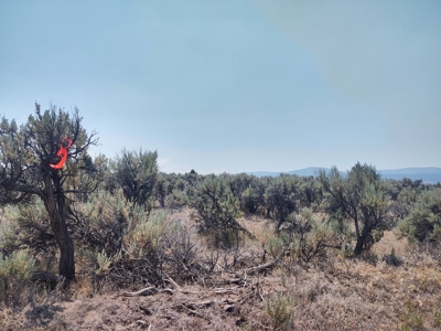 Buildable +/- 1 Acre Lot with Power Nearby - image 11