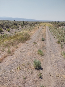 Buildable +/- 1 Acre Lot with Power Nearby - image 13