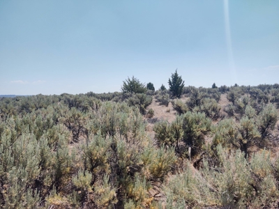 Buildable +/- 1 Acre Lot with Power Nearby - image 4