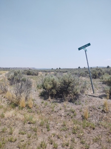 Buildable +/- 1 Acre Lot with Power Nearby - image 12