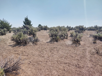 Buildable +/- 1 Acre Lot with Power Nearby - image 5