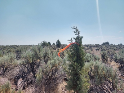 Buildable +/- 1 Acre Lot with Power Nearby - image 2