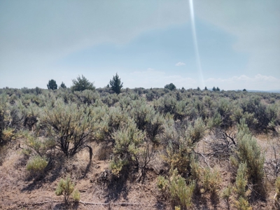 Buildable +/- 1 Acre Lot with Power Nearby - image 1