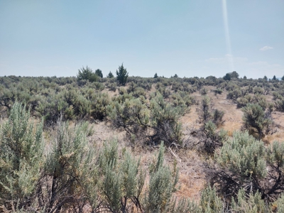 Buildable +/- 1 Acre Lot with Power Nearby - image 15