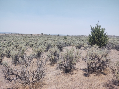 Buildable +/- 1 Acre Lot with Power Nearby - image 6