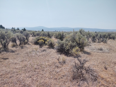 Buildable +/- 1 Acre Lot with Power Nearby - image 8