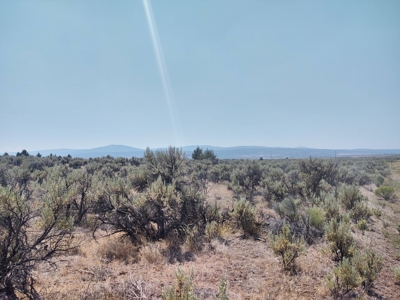 Buildable +/- 1 Acre Lot with Power Nearby - image 10