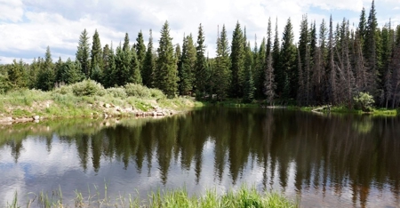 Camp or Build on This Beautiful Mountain Lot - image 2