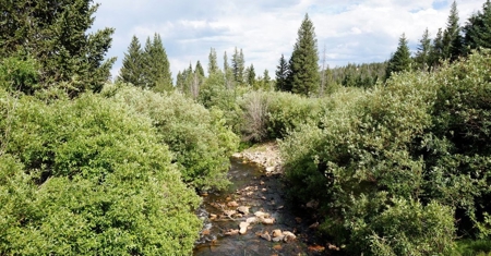 Camp or Build on This Beautiful Mountain Lot - image 4