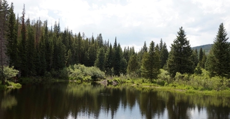 Camp or Build on This Beautiful Mountain Lot - image 1