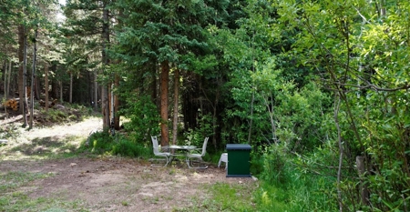 Camp or Build on This Beautiful Mountain Lot - image 5