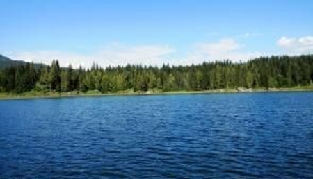 Land For Sale Near Bull River - image 1