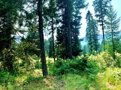 Land For Sale Near Bull River - image 3