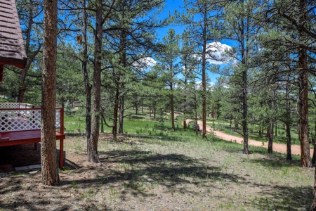 Colorado Mountain Getaway Cabin in Florissant Colorado - image 13